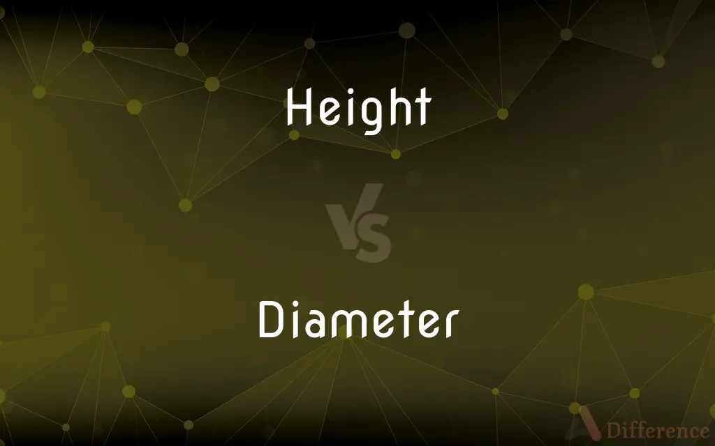 Height vs. Diameter — What's the Difference?