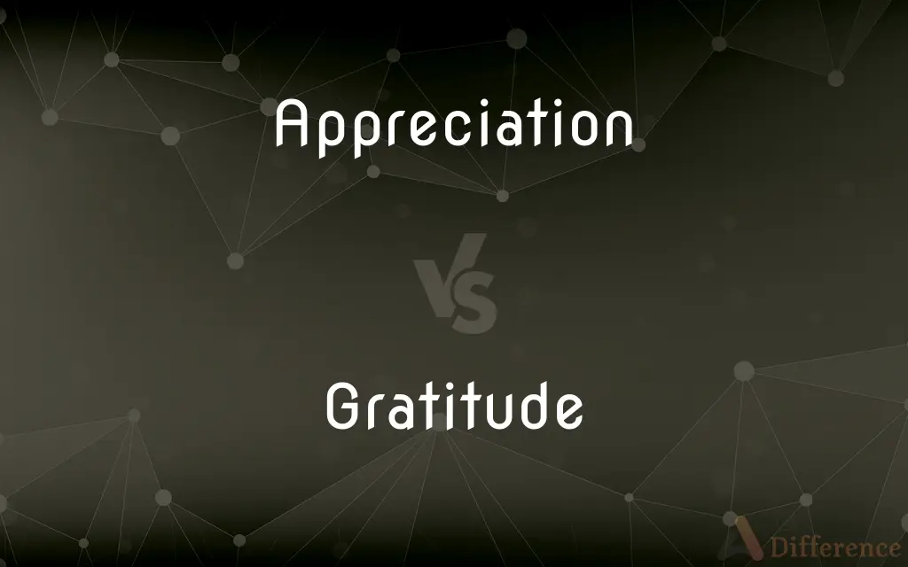 Appreciation vs. Gratitude — What's the Difference?