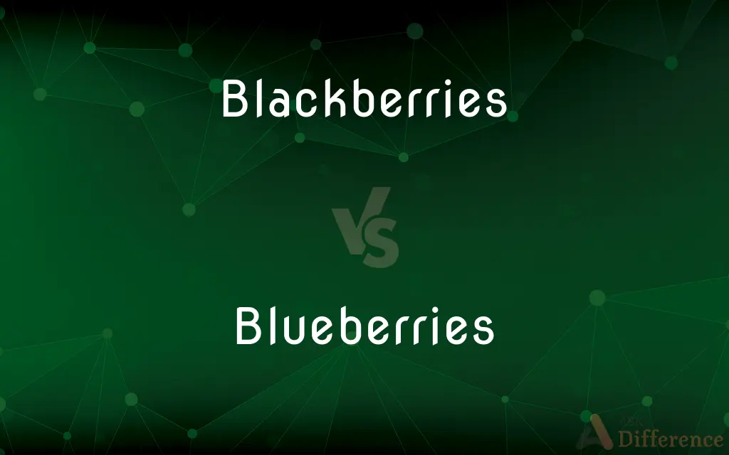 Blackberries vs. Blueberries — What's the Difference?