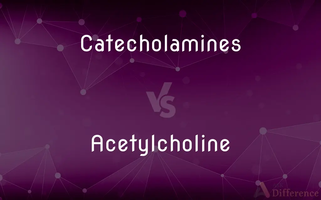 Catecholamines vs. Acetylcholine — What's the Difference?