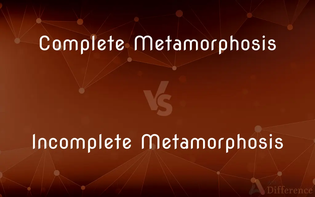 Complete Metamorphosis vs. Incomplete Metamorphosis — What's the Difference?