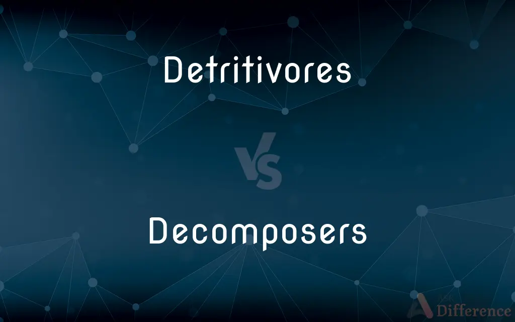 Detritivores vs. Decomposers — What's the Difference?