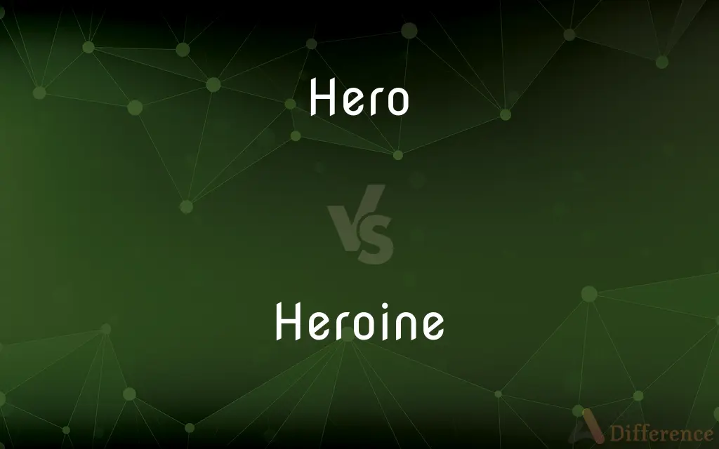 Hero vs. Heroine — What's the Difference?