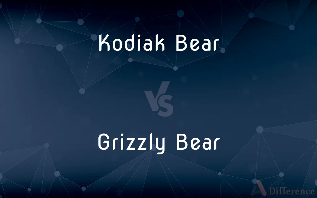 Kodiak Bear vs. Grizzly Bear — What's the Difference?