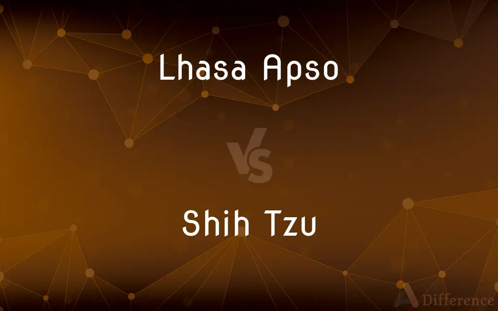Lhasa Apso vs. Shih Tzu — What's the Difference?