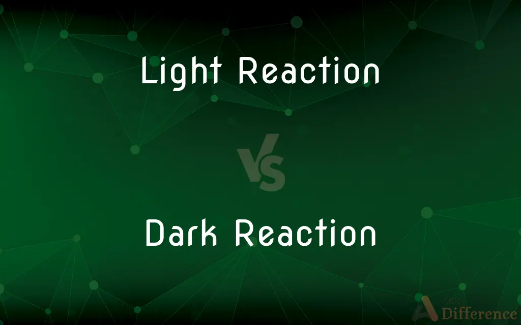 Light Reaction vs. Dark Reaction — What's the Difference?