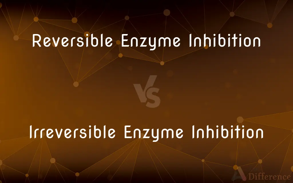 Reversible Enzyme Inhibition vs. Irreversible Enzyme Inhibition — What's the Difference?