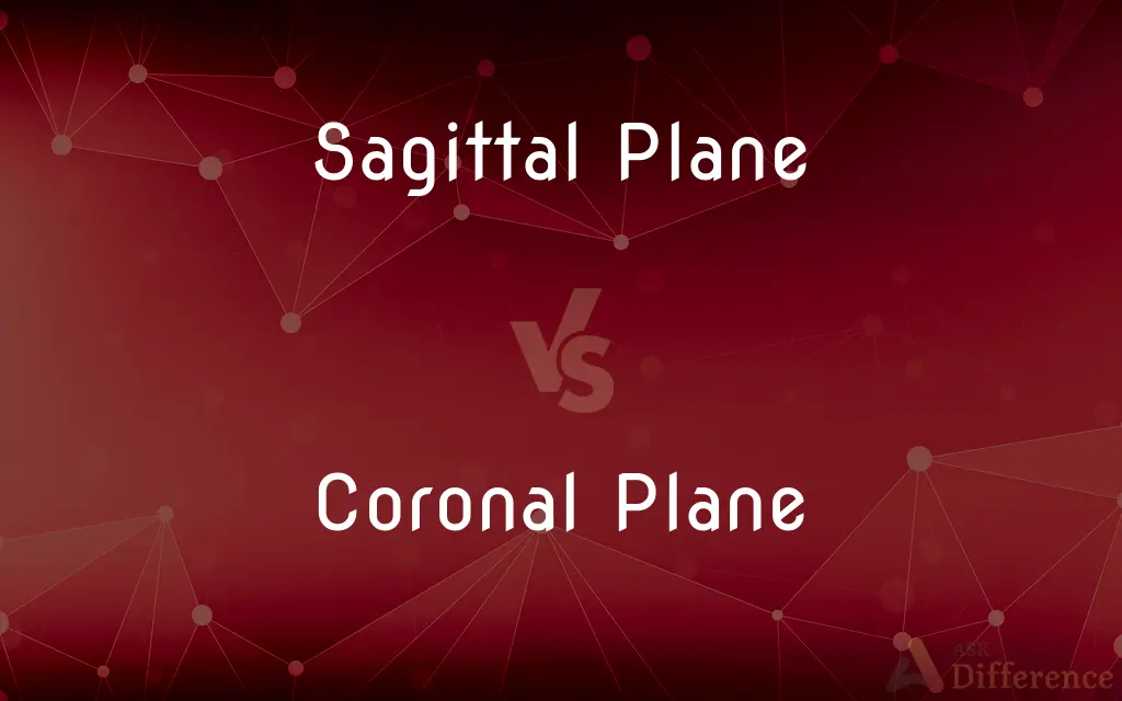 Sagittal Plane vs. Coronal Plane — What's the Difference?