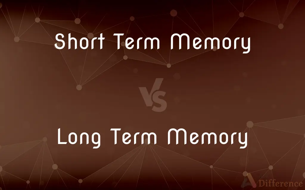 Short Term Memory vs. Long Term Memory — What's the Difference?