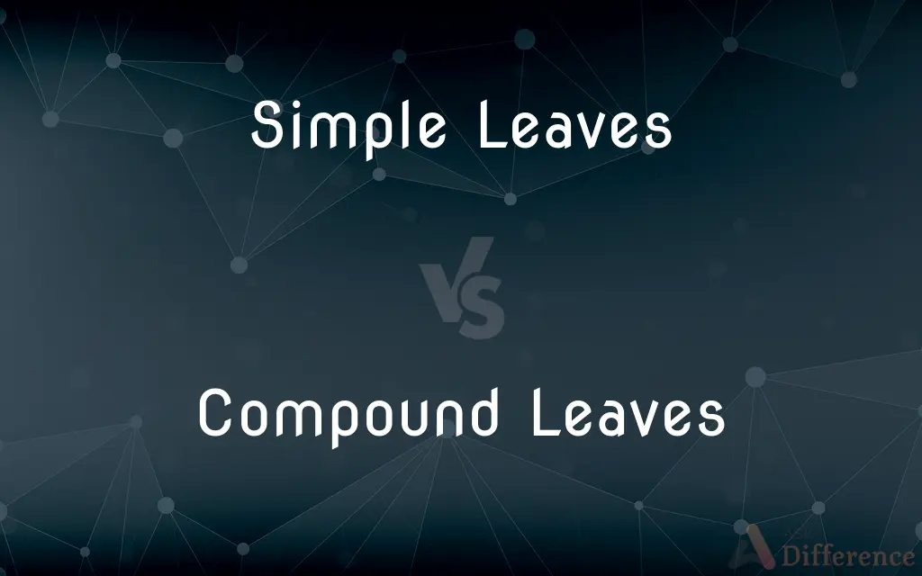 Simple Leaves vs. Compound Leaves — What's the Difference?