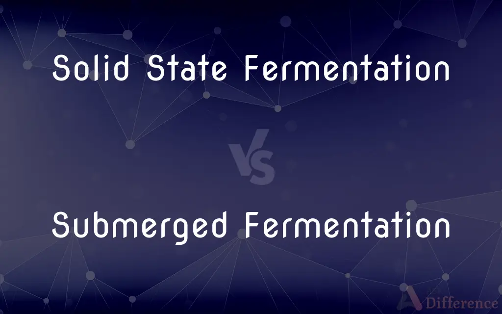 Solid State Fermentation vs. Submerged Fermentation — What's the Difference?