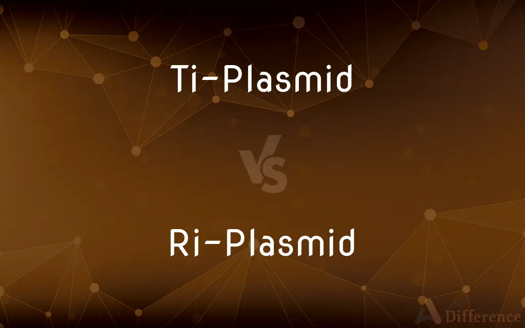 Ti-Plasmid vs. Ri-Plasmid — What's the Difference?