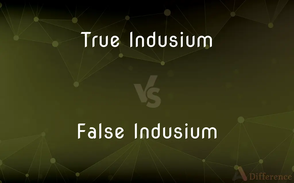 True Indusium vs. False Indusium — What's the Difference?