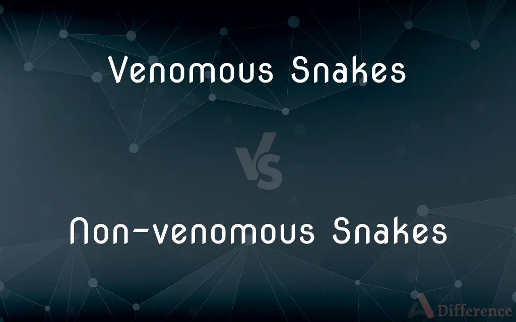 Venomous Snakes vs. Non-venomous Snakes — What's the Difference?