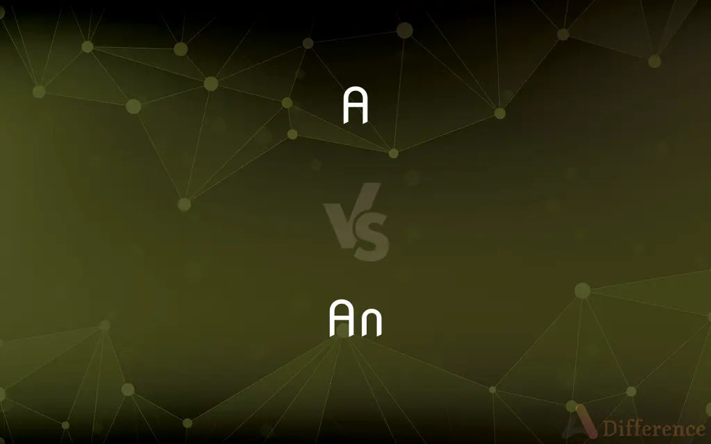 A vs. An — What's the Difference?
