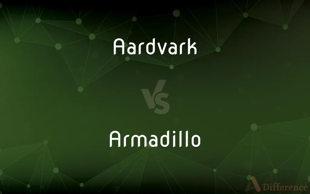 Aardvark vs. Armadillo — What's the Difference?