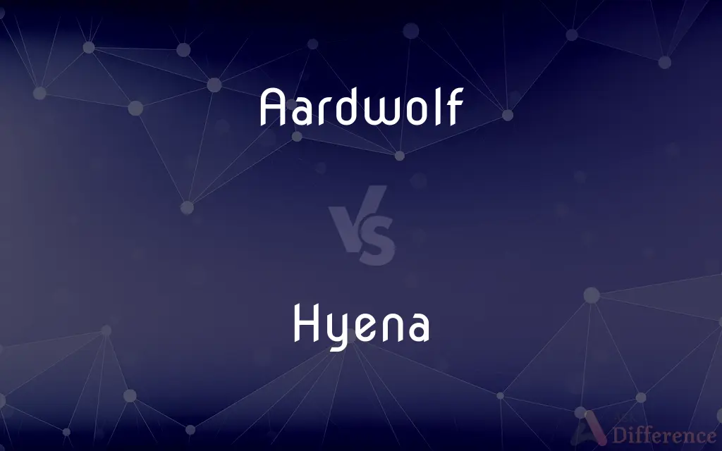 Aardwolf vs. Hyena — What's the Difference?