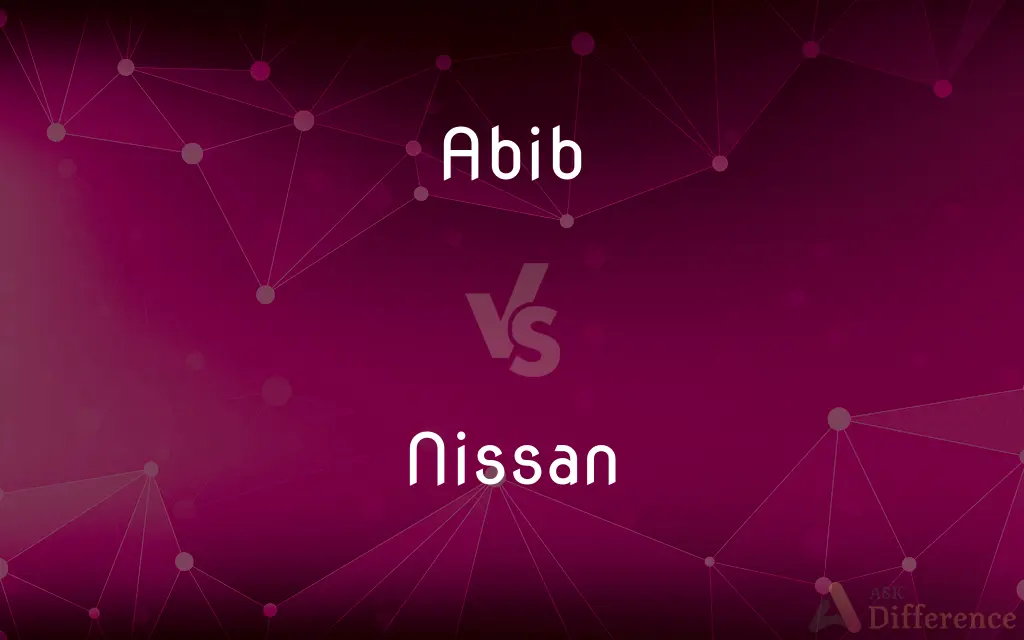 Abib vs. Nissan — What's the Difference?