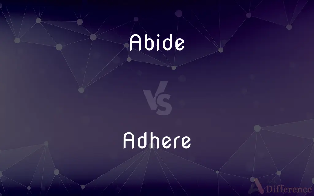 Abide vs. Adhere — What's the Difference?