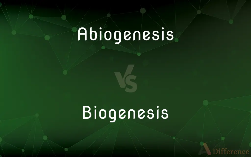 Abiogenesis vs. Biogenesis — What's the Difference?
