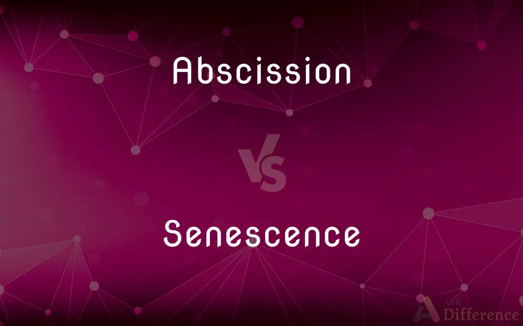 Abscission vs. Senescence — What's the Difference?