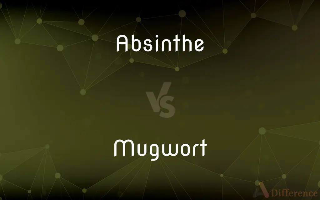 Absinthe vs. Mugwort — What's the Difference?