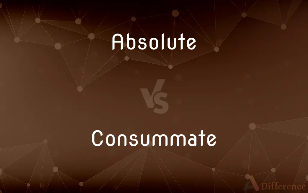 Absolute vs. Consummate — What's the Difference?