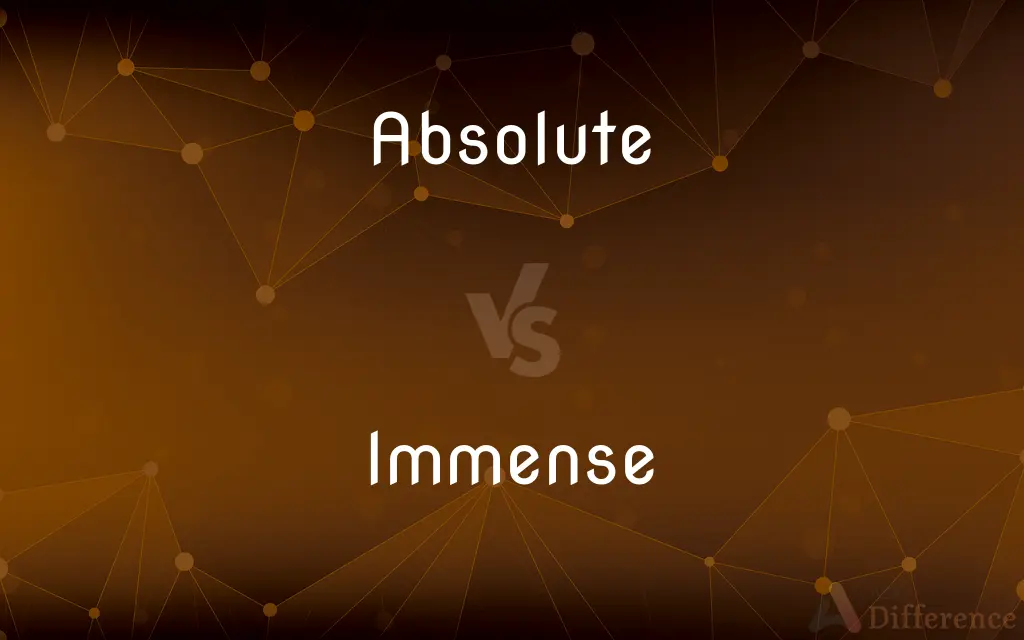 Absolute vs. Immense — What's the Difference?