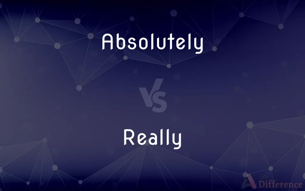 Absolutely vs. Really — What's the Difference?