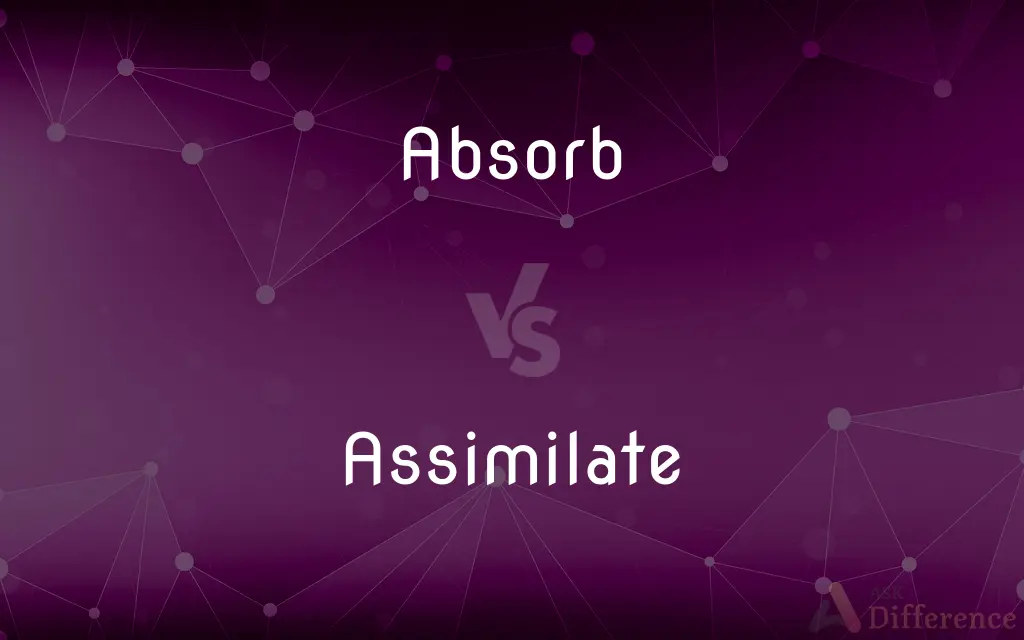 Absorb vs. Assimilate — What's the Difference?