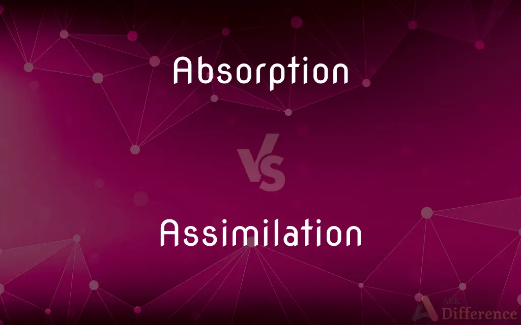 Absorption vs. Assimilation — What's the Difference?