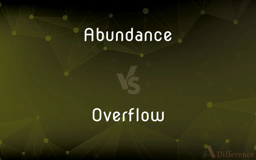 Abundance vs. Overflow — What's the Difference?