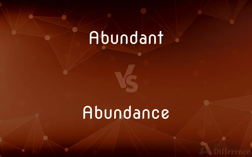 Abundant vs. Abundance — What's the Difference?