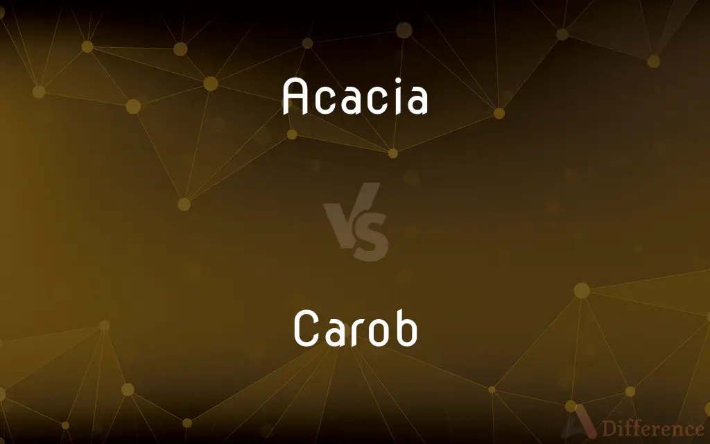 Acacia vs. Carob — What's the Difference?