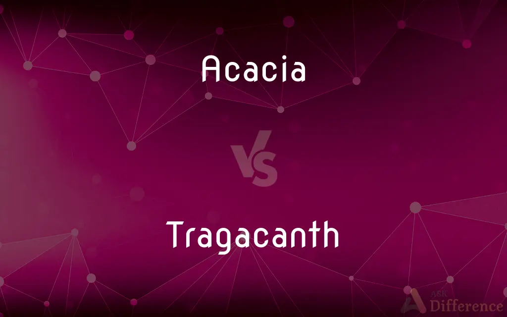 Acacia vs. Tragacanth — What's the Difference?