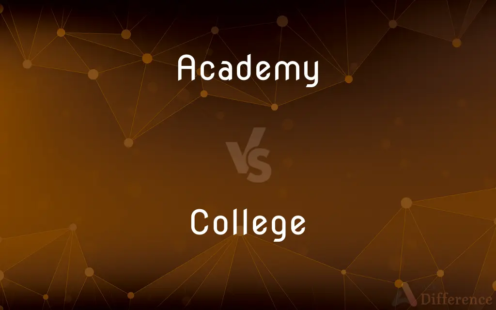 Academy vs. College — What's the Difference?