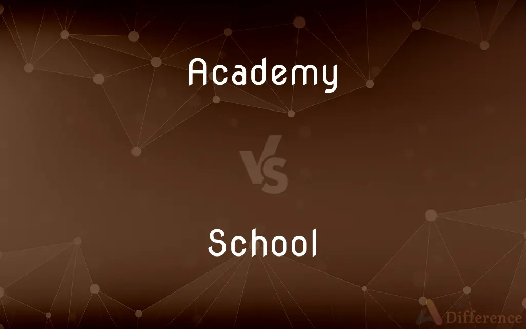 Academy vs. School — What's the Difference?