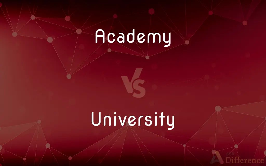 Academy vs. University — What's the Difference?