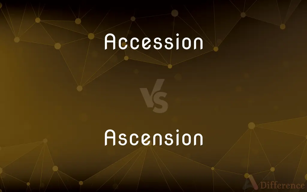 Accession vs. Ascension — What's the Difference?