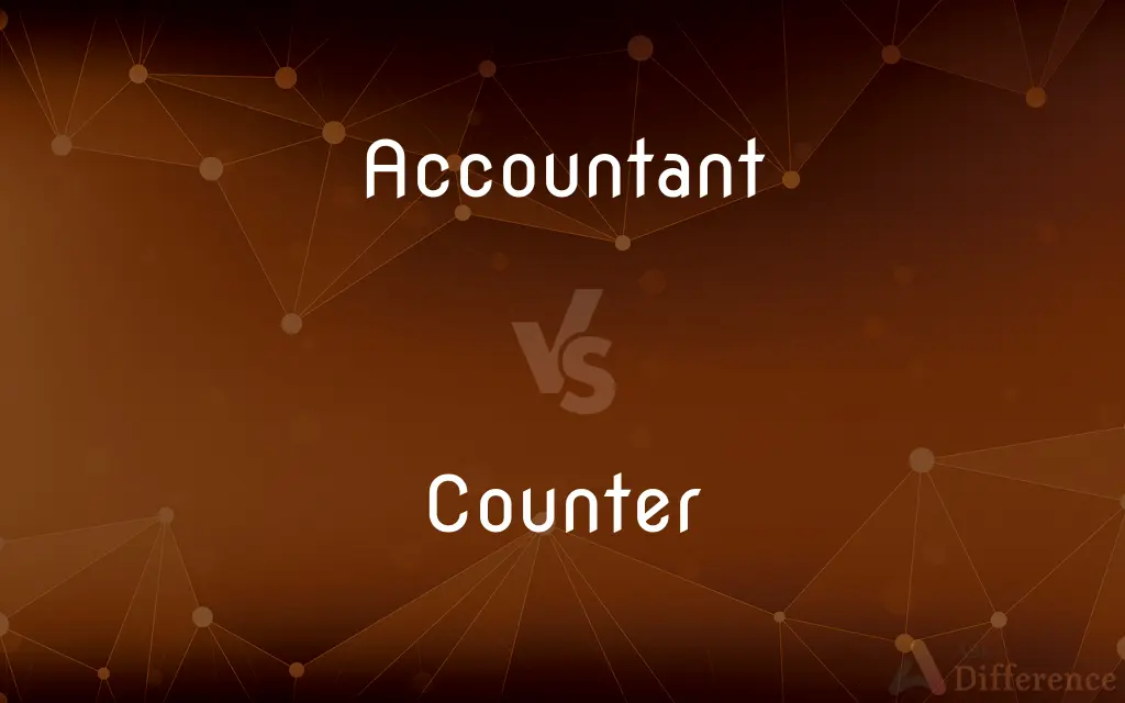 Accountant vs. Counter — What's the Difference?