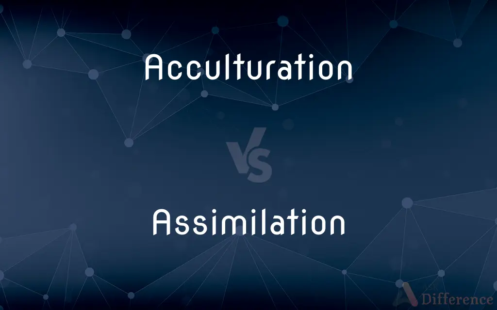 Acculturation vs. Assimilation — What's the Difference?