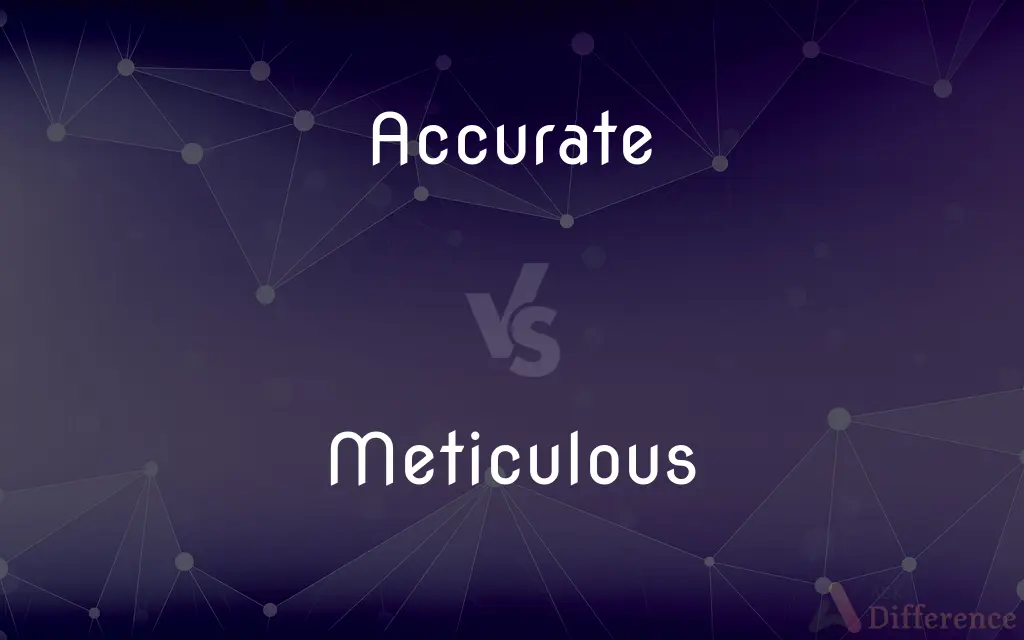 Accurate vs. Meticulous — What's the Difference?