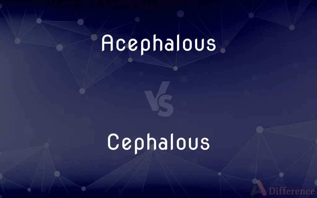 Acephalous vs. Cephalous — What's the Difference?
