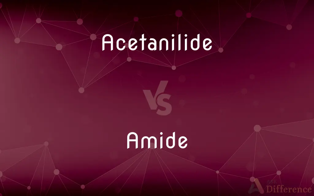 Acetanilide vs. Amide — What's the Difference?