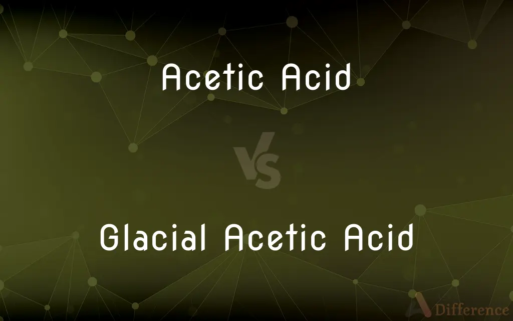 Acetic Acid vs. Glacial Acetic Acid — What's the Difference?