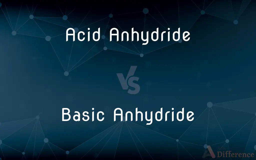 Acid Anhydride vs. Basic Anhydride — What's the Difference?