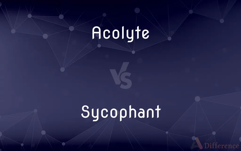 Acolyte vs. Sycophant — What's the Difference?
