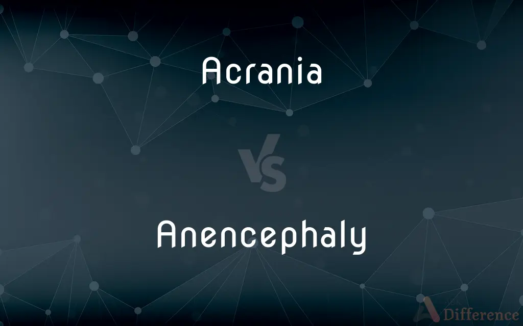 Acrania vs. Anencephaly — What's the Difference?