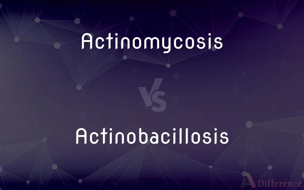 Actinomycosis vs. Actinobacillosis — What's the Difference?