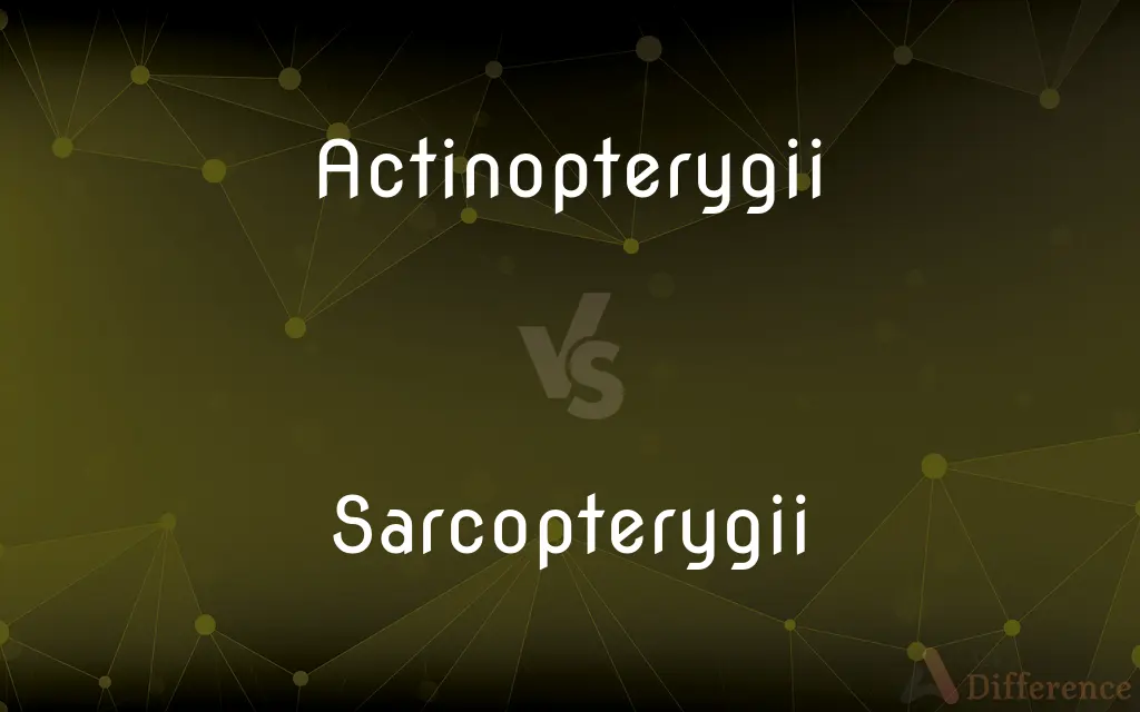 Actinopterygii vs. Sarcopterygii — What's the Difference?